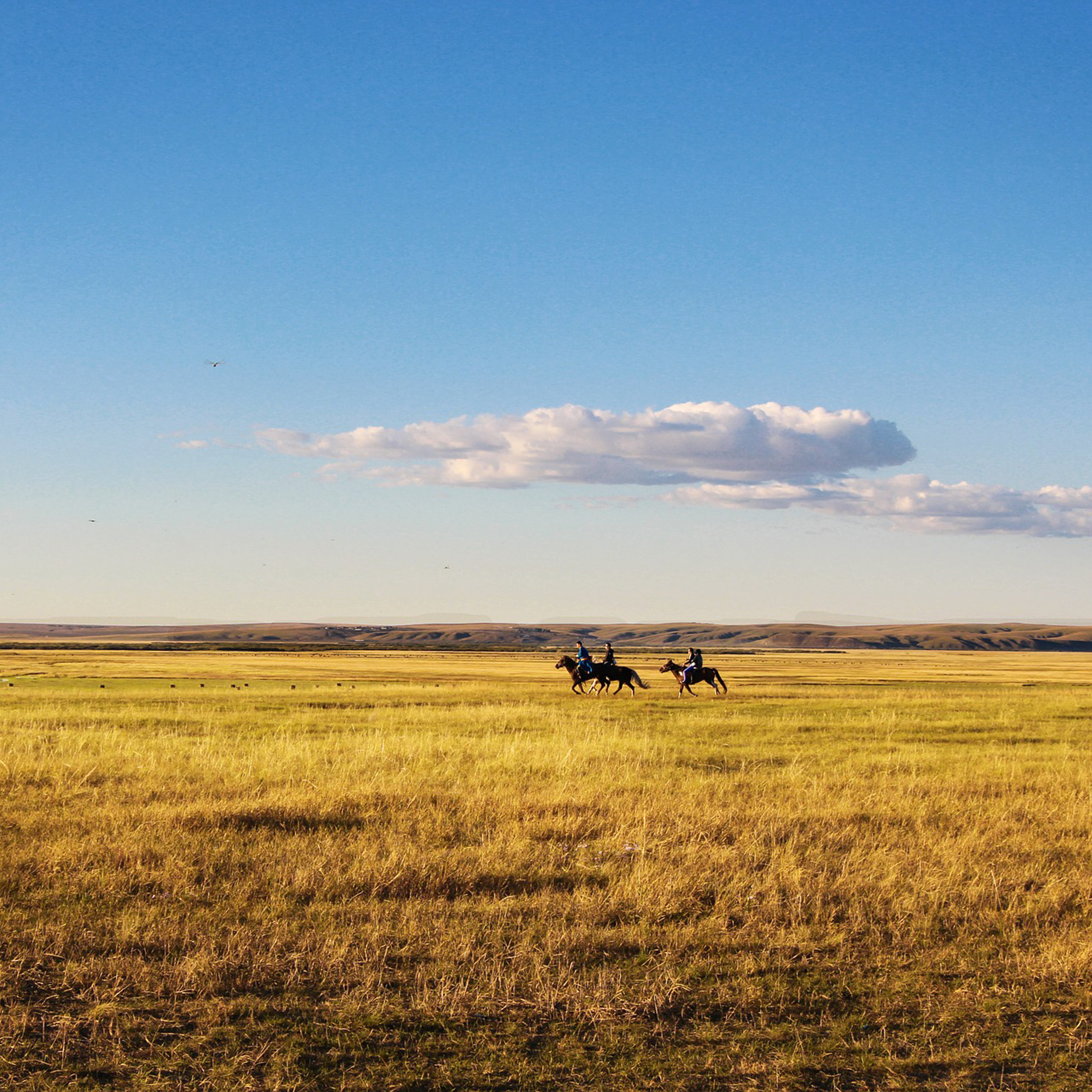Ep 162: Prairie Alienation